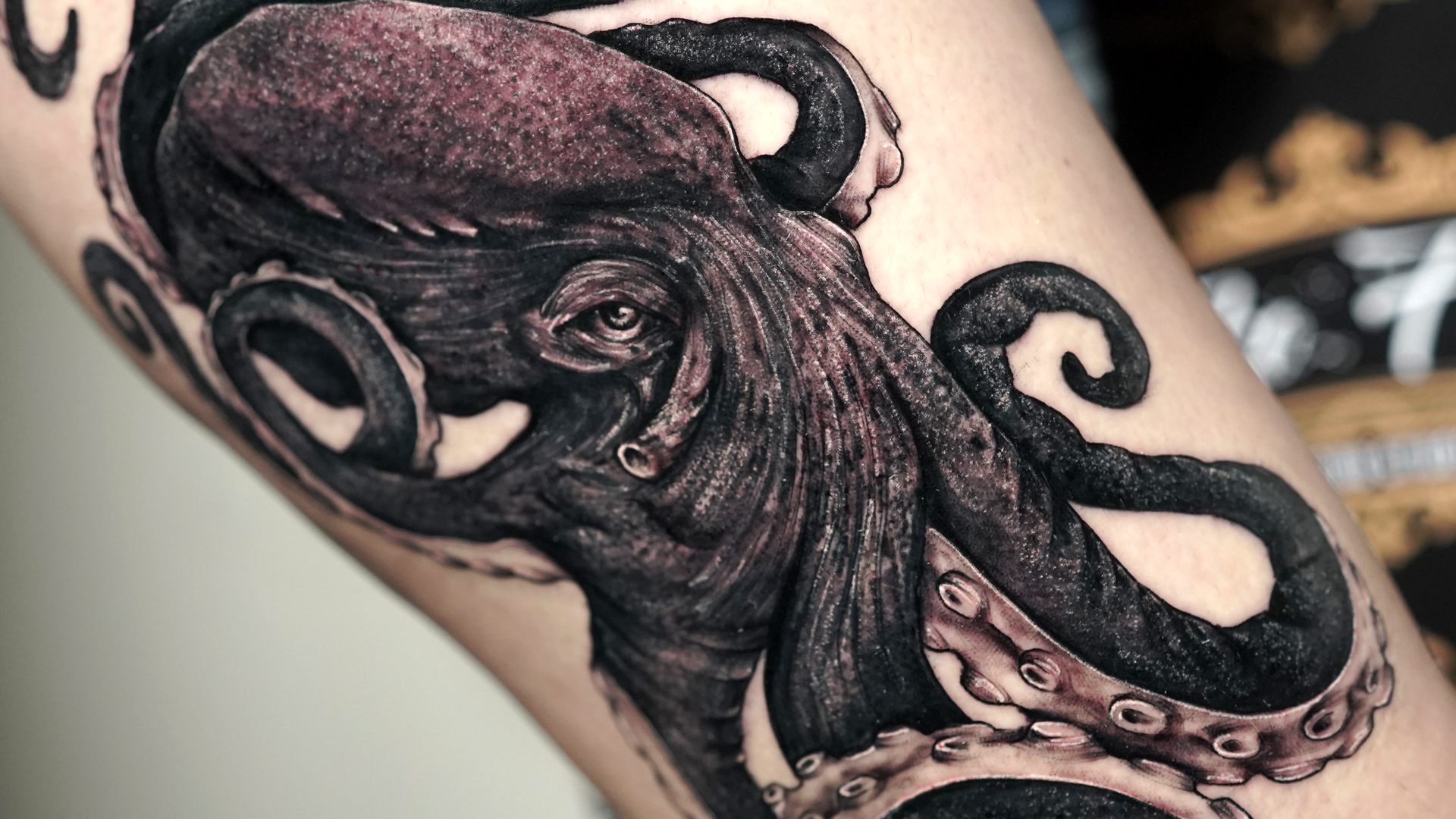 PULPO